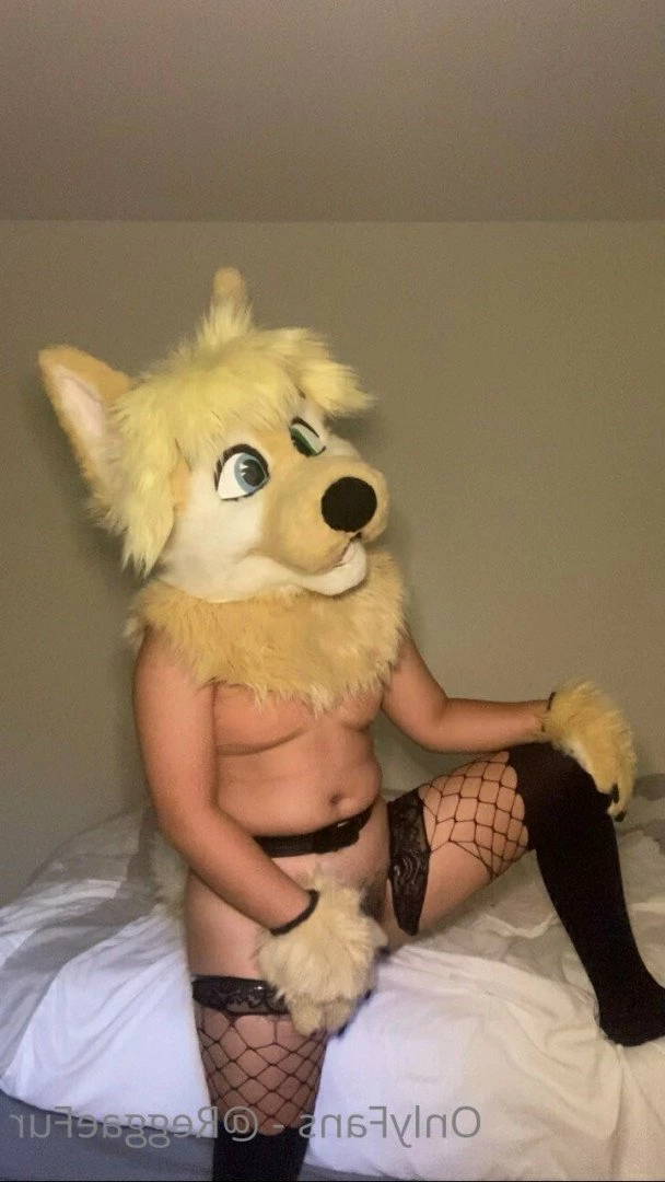Furry FTM x MTF 🏳️‍⚧️🔞 [ transfurries ] Onlyfans leaked photo 4904172 on Hotleaks.tv
