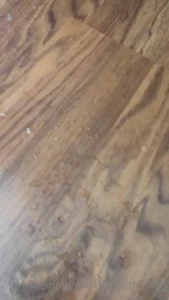 tremorwolf Onlyfans leaked video 5442546 on Hotleaks.tv