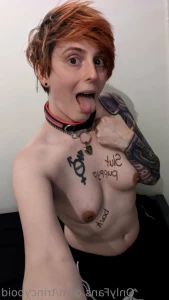 16152964