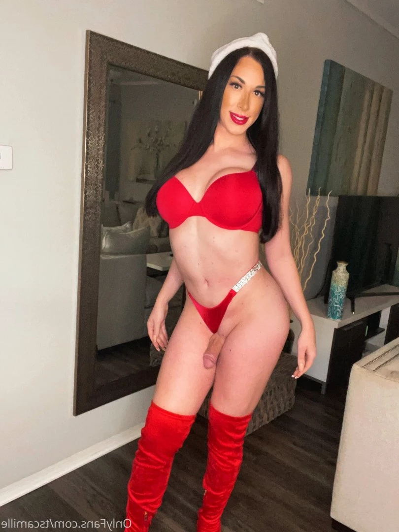 Camille [ tscamille ] Onlyfans leaked photo 4877626 on Hotleaks.tv