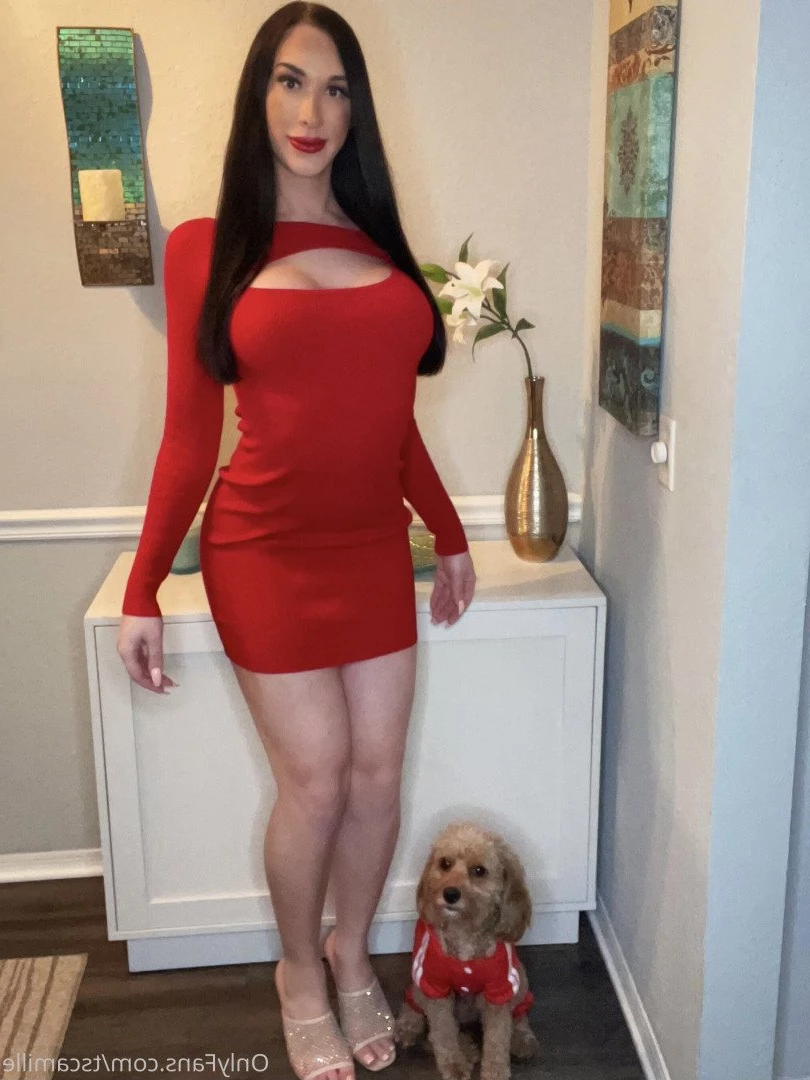 Camille [ tscamille ] Onlyfans leaked photo 4877690 on Hotleaks.tv