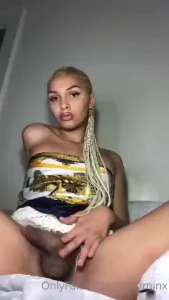 18256441