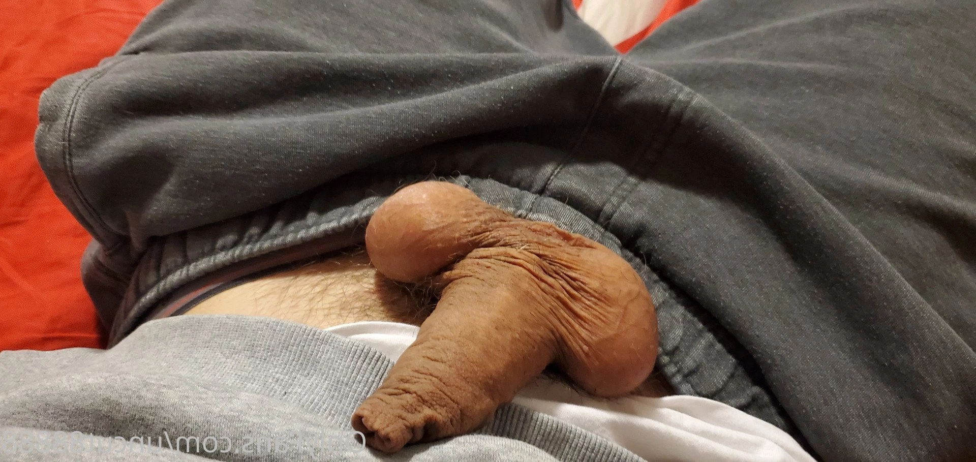 Uncut and Hung [ uncut88888 ] Onlyfans leaked photo 4805813 on Hotleaks.tv