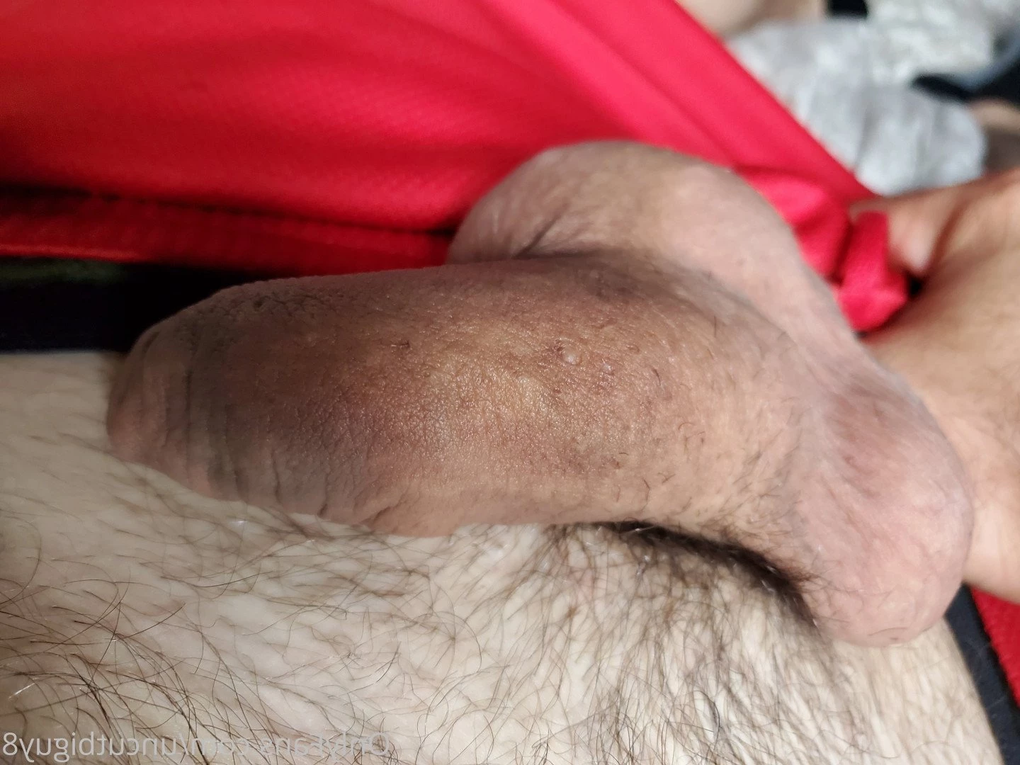 Uncut and Hung [ uncut88888 ] Onlyfans leaked photo 4805854 on Hotleaks.tv