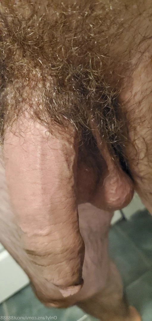 Uncut and Hung [ uncut88888 ] Onlyfans leaked photo 4806662 on Hotleaks.tv