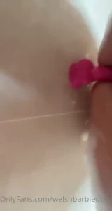 18256048