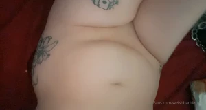 18256079