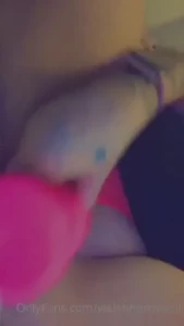 18256081