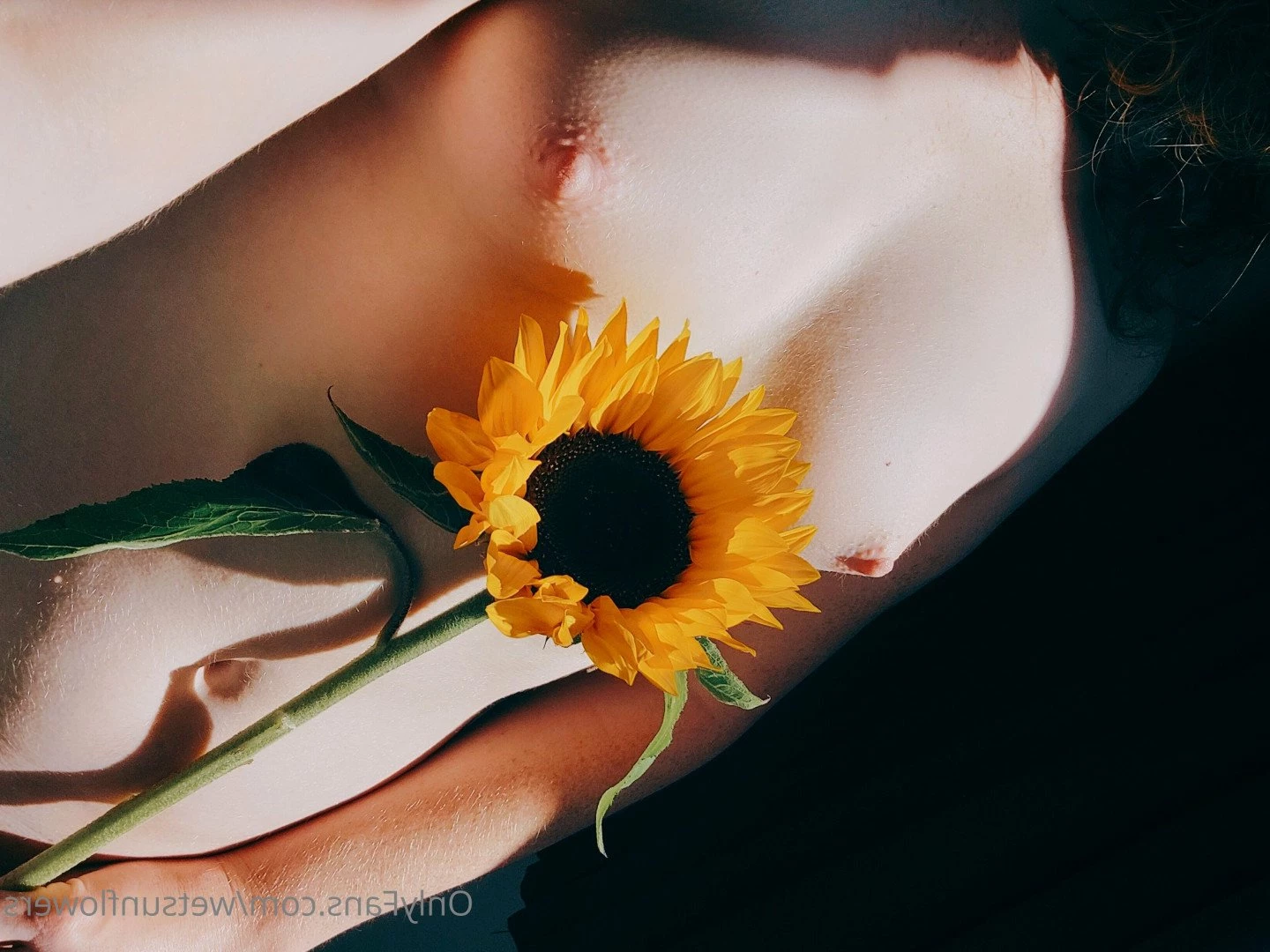 Miss Sunflowers [ wetsunflowers ] Onlyfans leaked photo 4790718 on Hotleaks.tv