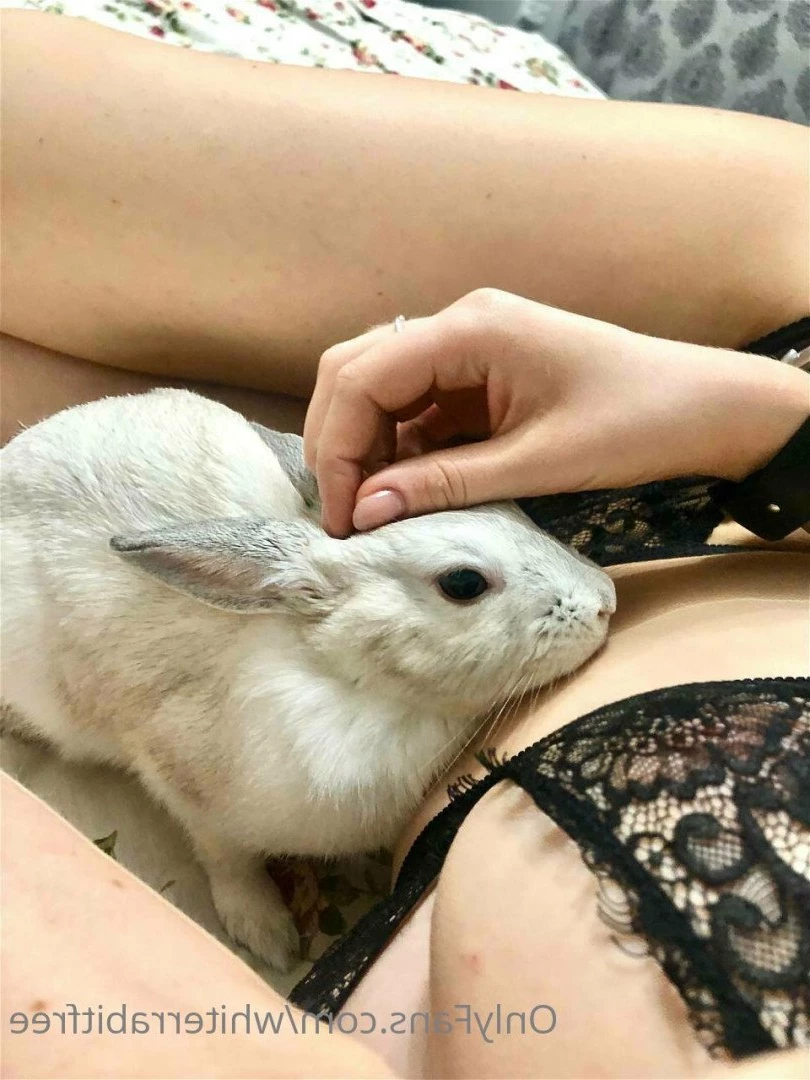White Rabbit 🤍 [ whiterrabitfree ] Onlyfans leaked photo 4786902 on Hotleaks.tv