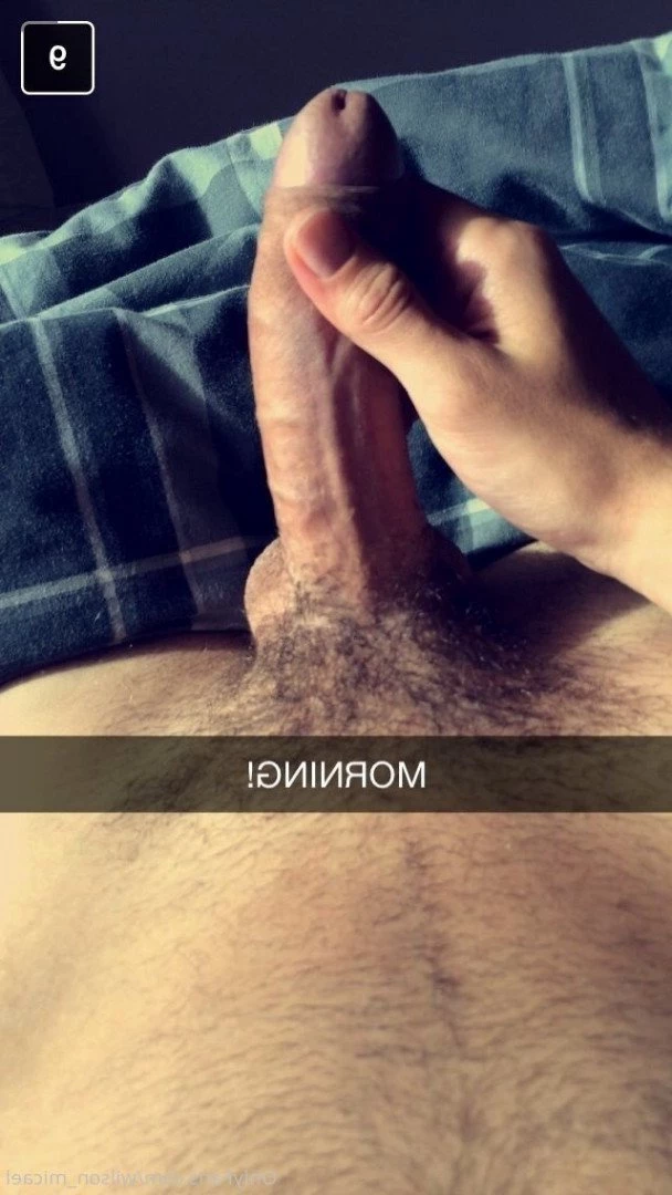 Micael Wilson [ wilson_micael ] Onlyfans leaked photo 4784464 on Hotleaks.tv