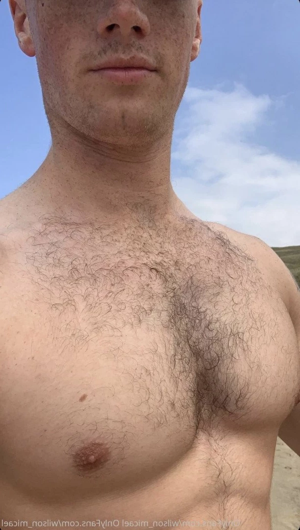 Micael Wilson [ wilson_micael ] Onlyfans leaked photo 4784984 on Hotleaks.tv