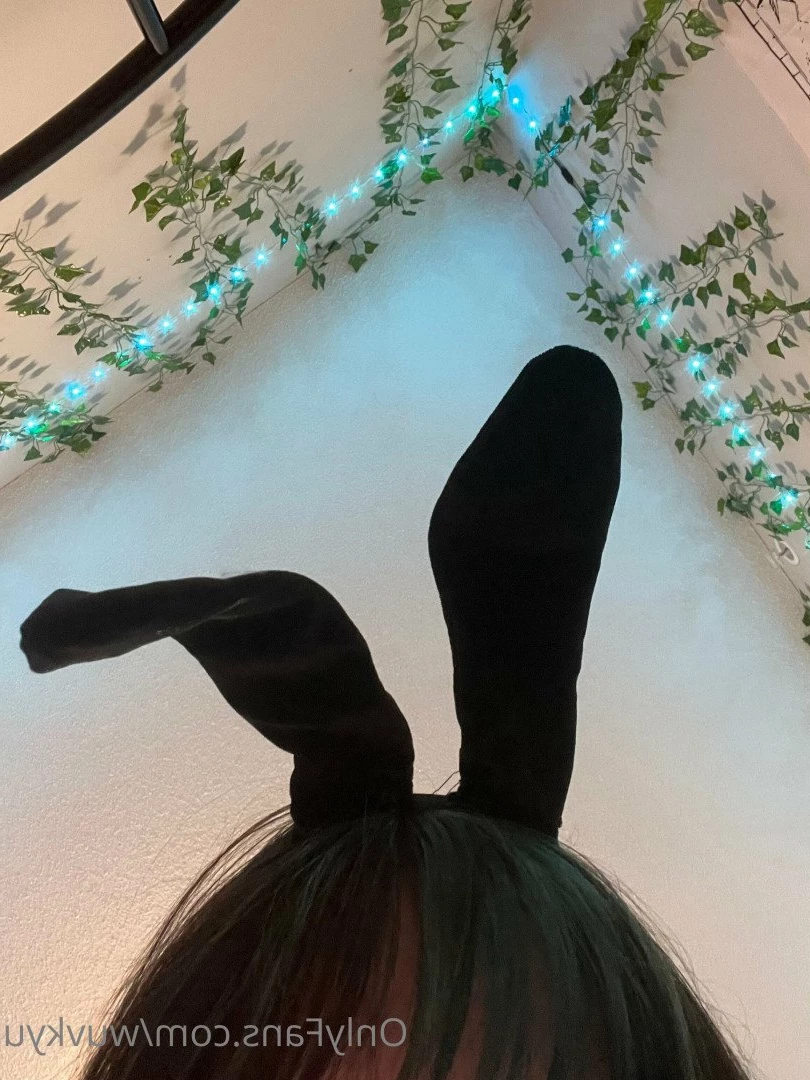 Kyu ♡ [ wuvkyu ] Onlyfans leaked photo 4772564 on Hotleaks.tv