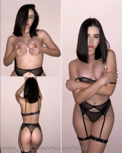15558340