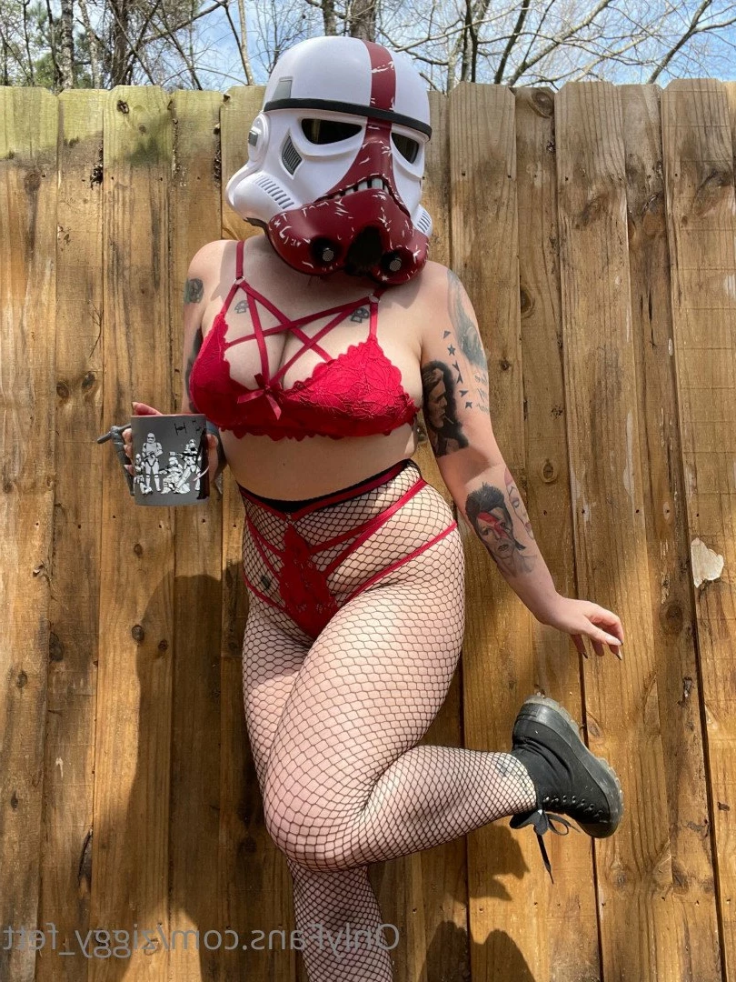 Fox [ ziggy_fett ] Onlyfans leaked photo 4738345 on Hotleaks.tv
