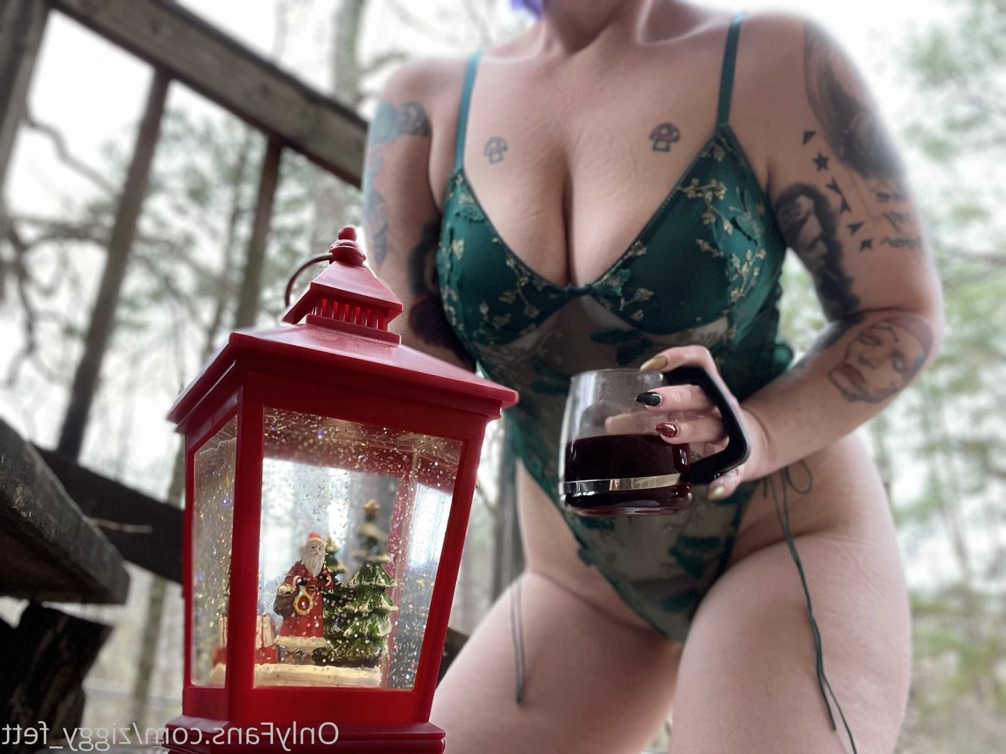 Fox [ ziggy_fett ] Onlyfans leaked photo 4742937 on Hotleaks.tv