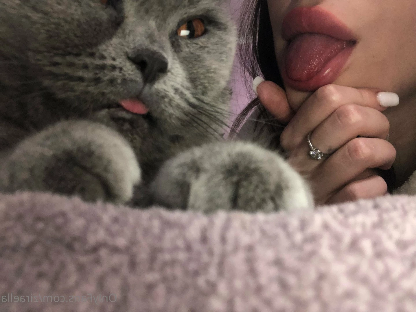 ziraella Onlyfans leaked photo 4733371 on Hotleaks.tv