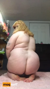 16225694
