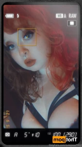 16264676