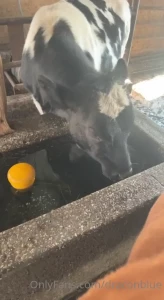5509356