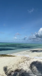 5856206