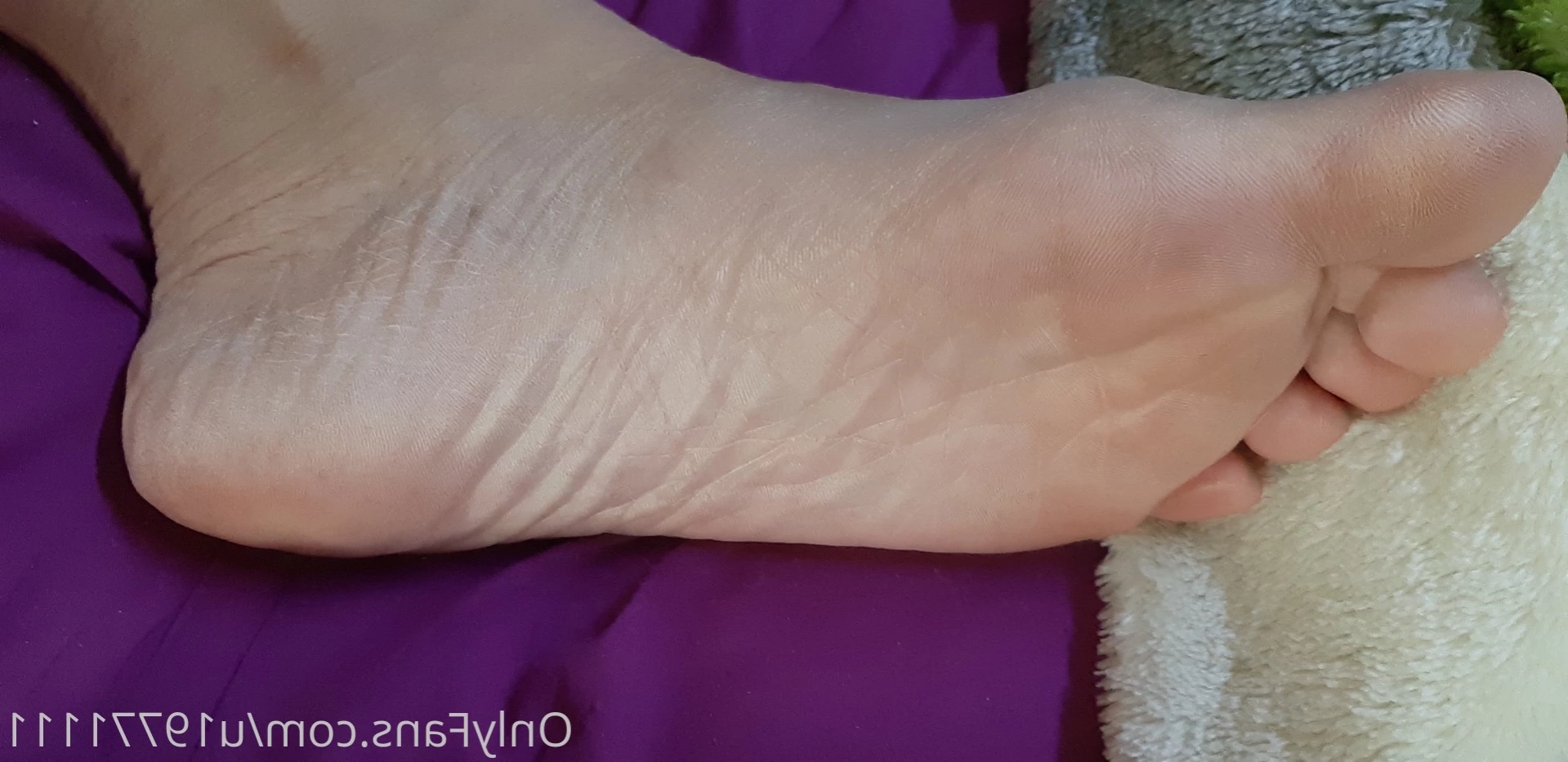 🍑𝐁𝐈𝐆 𝐀𝐒𝐒🍑💎 𝔹𝕃𝕌𝔼𝔾𝕀ℝ𝕃𝟞𝟡💦🤫𝙋𝙊𝙍𝙉 𝙁𝙍𝙀𝙀🤫 [ lirio93 ] Onlyfans leaked photo 15406405 on Hotleaks.tv