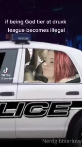 18254763