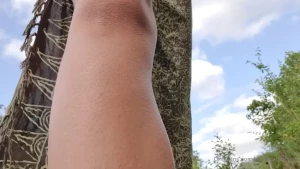 5889294