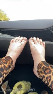 jpaid69 Onlyfans leaked video 2525149 on Hotleaks.tv