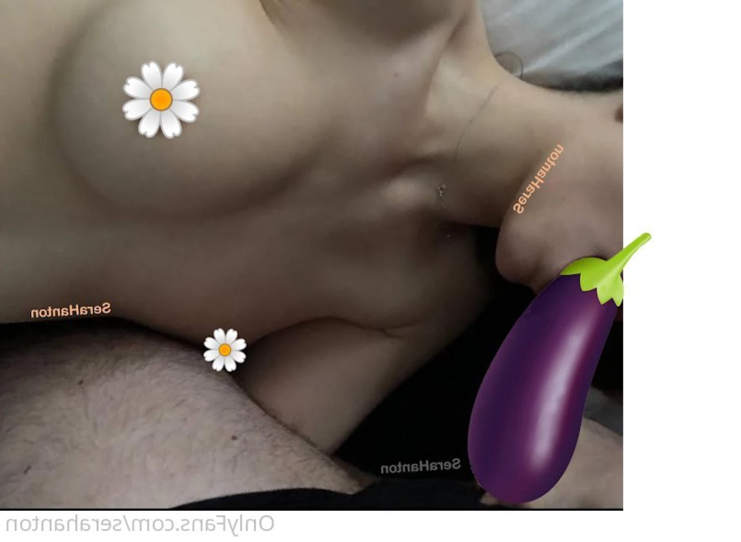 Sera Hanton [ serahanton ] Onlyfans leaked photo 10687159 on Hotleaks.tv