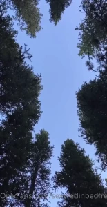 14915433
