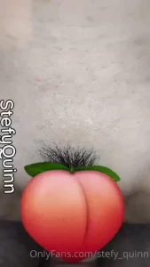 18254613