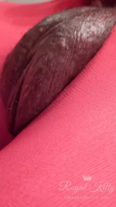 The Royal Kitty [ theroyalkitty ] Onlyfans leaked video 10553951 on Hotleaks.tv