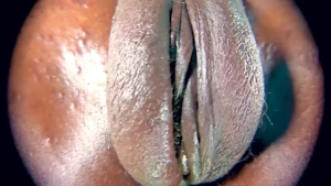 The Royal Kitty [ theroyalkitty ] Onlyfans leaked video 10553970 on Hotleaks.tv