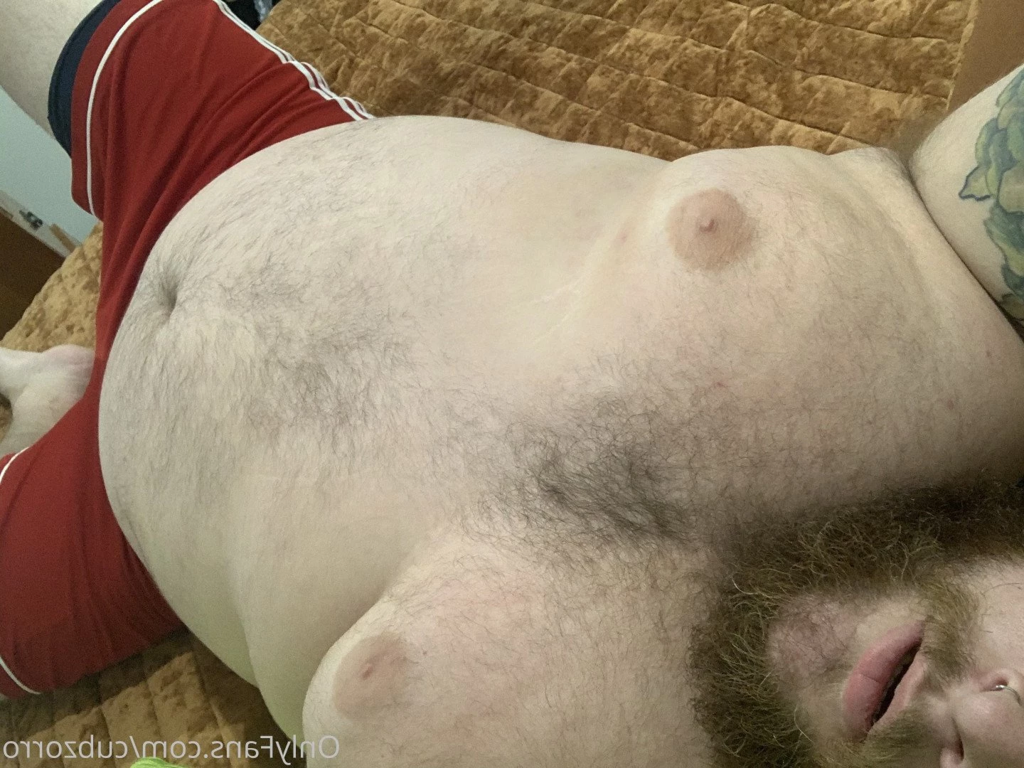 cubzorro Onlyfans leaked photo 4876954 on Hotleaks.tv