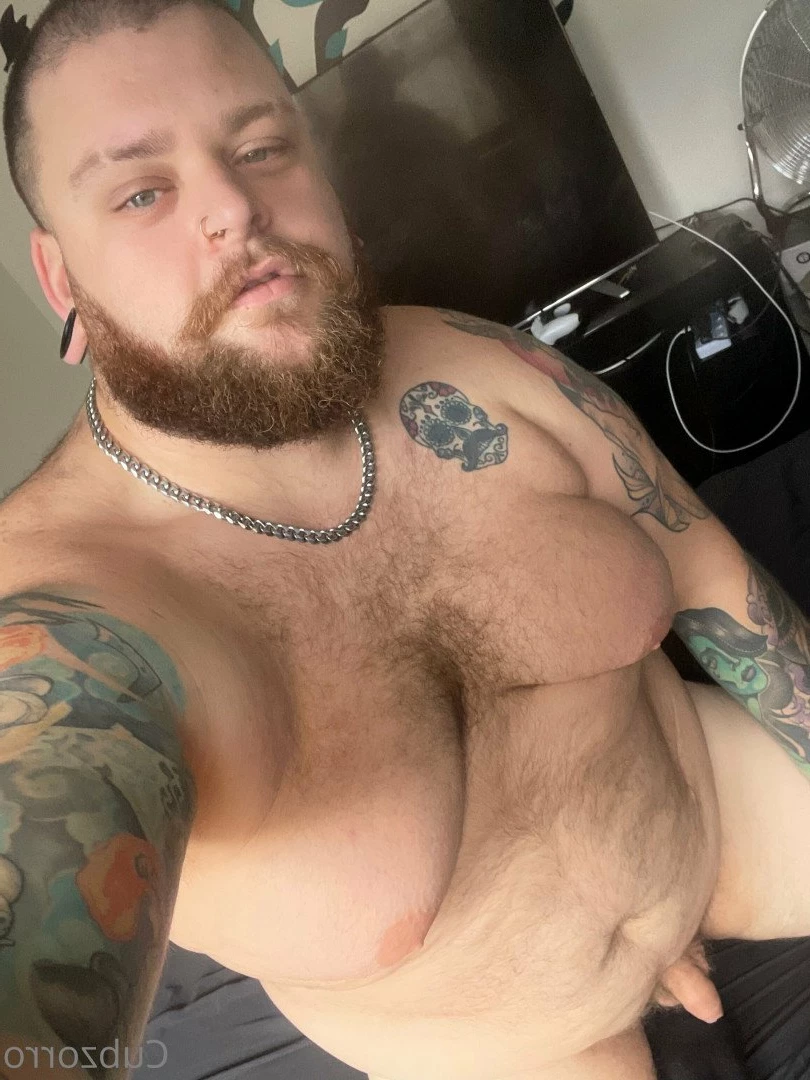 cubzorro Onlyfans leaked photo 4878385 on Hotleaks.tv
