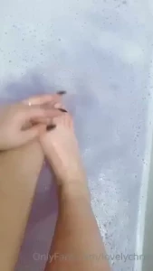 18254553