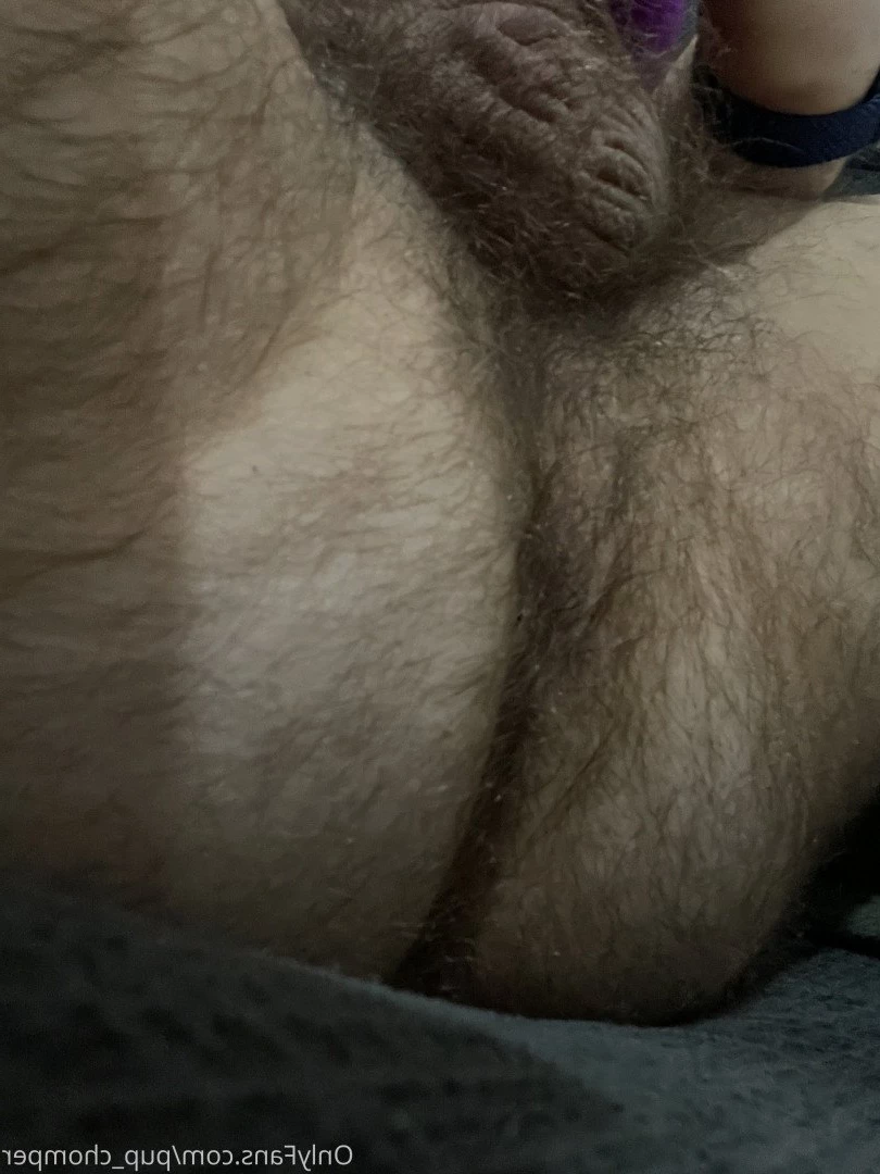 Chomper [ pup_chomper ] Onlyfans leaked photo 4867712 on Hotleaks.tv