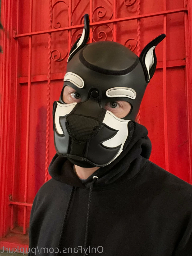 Kurt Summers [ pupkurt ] Onlyfans leaked photo 9304253 on Hotleaks.tv