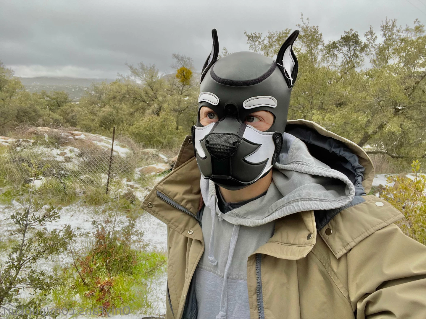 Kurt Summers [ pupkurt ] Onlyfans leaked photo 10528198 on Hotleaks.tv
