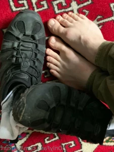 10528203