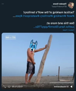 4867159