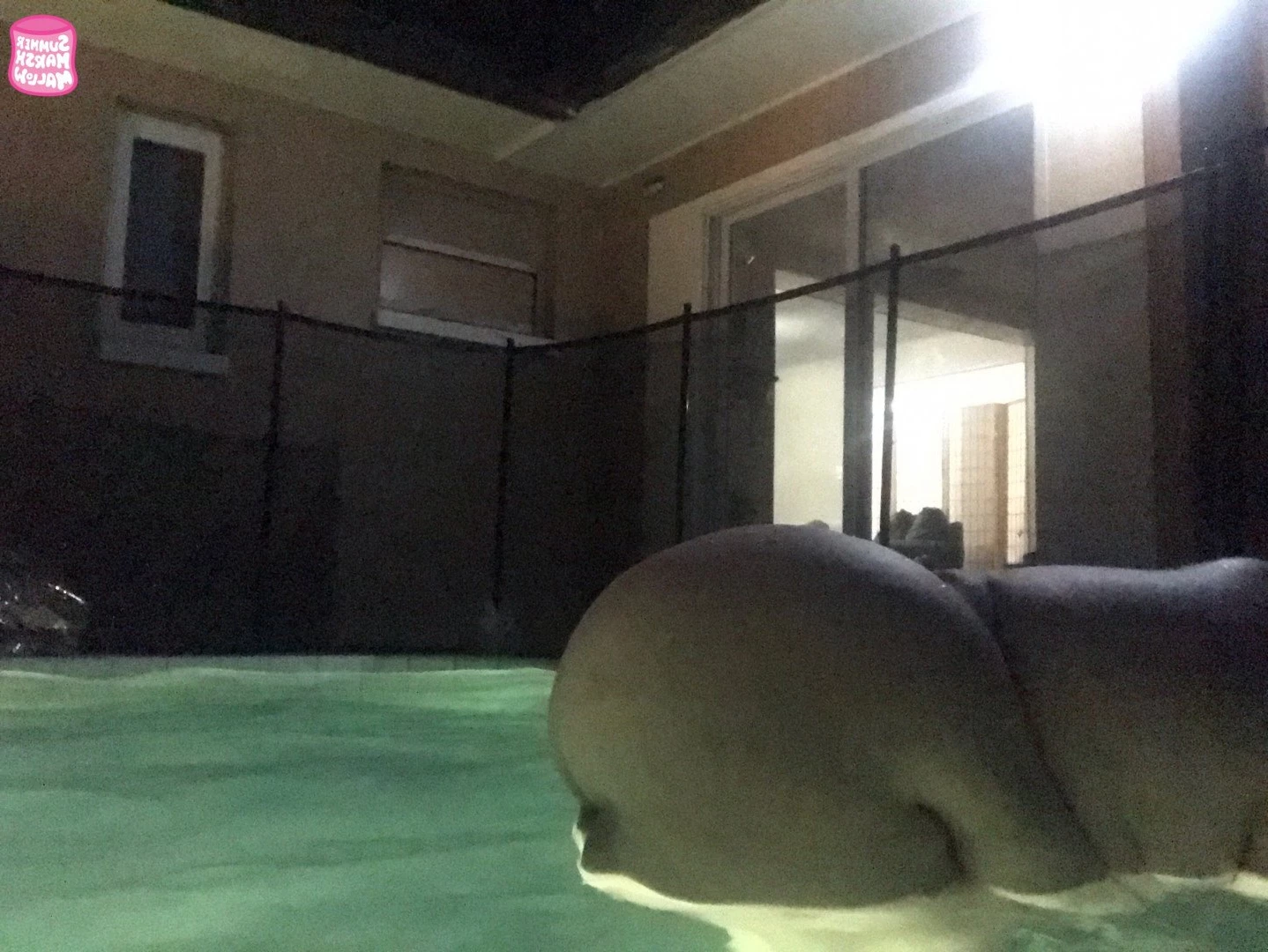 Summer Marshmallow [ summermarshmallow ] Onlyfans leaked photo 4869711 on Hotleaks.tv