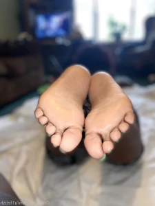 7655260