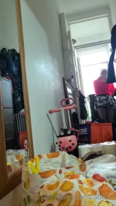 10838679
