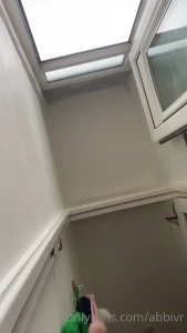 10838684