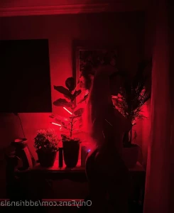 10618028