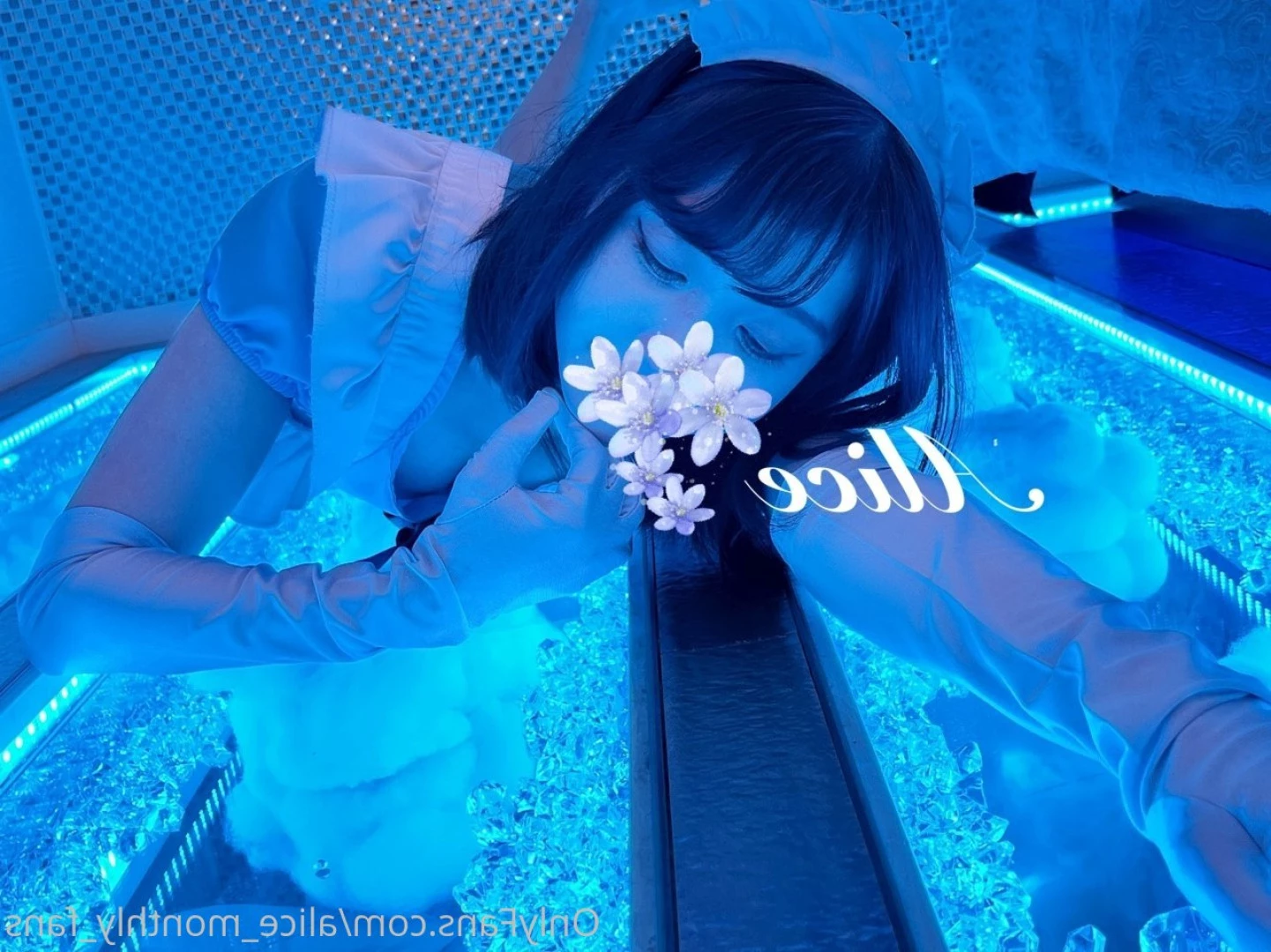 Alice [ alice_monthly_fans ] Onlyfans leaked photo 7723318 on Hotleaks.tv
