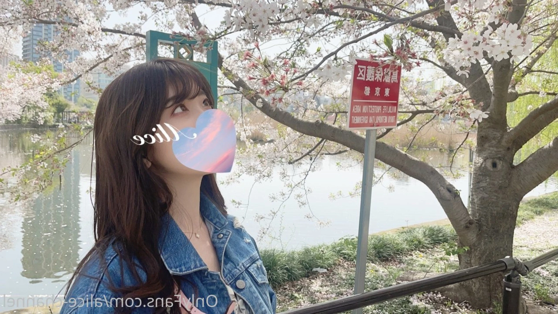 Alice [ alice_monthly_fans ] Onlyfans leaked photo 7723944 on Hotleaks.tv