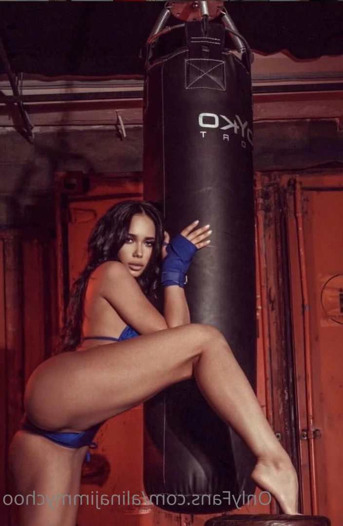 alinajimmychoo Onlyfans leaked photo 10663015 on Hotleaks.tv